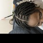 Starter Locs (regular)