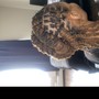 Half-head retwist