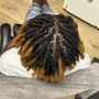 Loc Maintenance