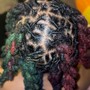 Starter Dreadlocks