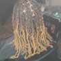 Senegalese Twist Medium