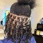 Comb Twist