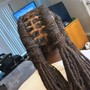 Starter Locs