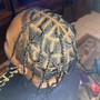 Kid's Braids