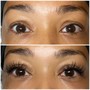 2 Week  Fill Individual Lashes