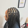 Feed in braids medium