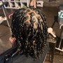 Starter Locs (Two Strand)