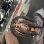 Retwist & Style (shoulder Length)