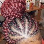 Feed In Braids