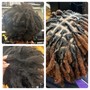 Root Touch Up