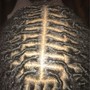 Crochet Locs (individual)