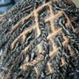 Starter Locs