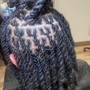 Upscale Loc Style ( 2strands, Pipe Cleaners, Perm Rods, Butterfly Petals, etc)