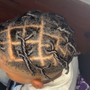 Comb Twist/ Starter Locs