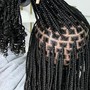 Individual Braids