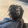 2 strand Twists (not locs)