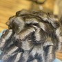 Medium Individual Braids