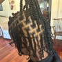 Twists/Braids/Comb Coils**