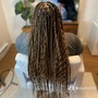 Knotless Braids (Medium)