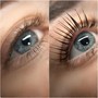 Eyelash Lift (Curl / Perm)