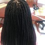 Medium box Braids