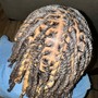 Starter locs