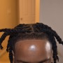 Starter Locs