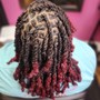 Starter Locs (Two Strands)