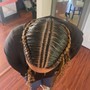 Feed In braids