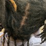 Natural Twists