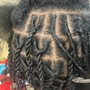 Starter Locs