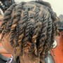 Dreadlocks Bleach /Tone Tips Only