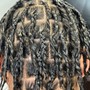 Two Strand Twists