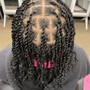 2 Strand Twist