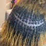 Loc Extensions (w/o hair included)