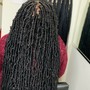 BOHO KNOTLESS BRAIDS (M)