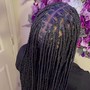 tribal braids