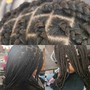 Medium Box Braids