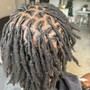 Root Touch Up