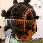 Mini Twists