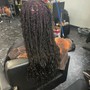 Root Touch Up