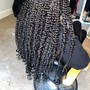 Passion Twists