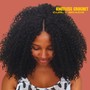 Curly Crochet Braids (Full)