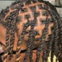 Starter Locs