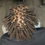 Kids starter locs