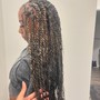 Spring twists