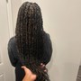 Spring twists