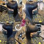 Custom Wig Unit 10" Remy Bob