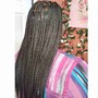 Bohemian Curly/ knotless braids SMALL Basic length mid back