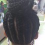 Havana Twists